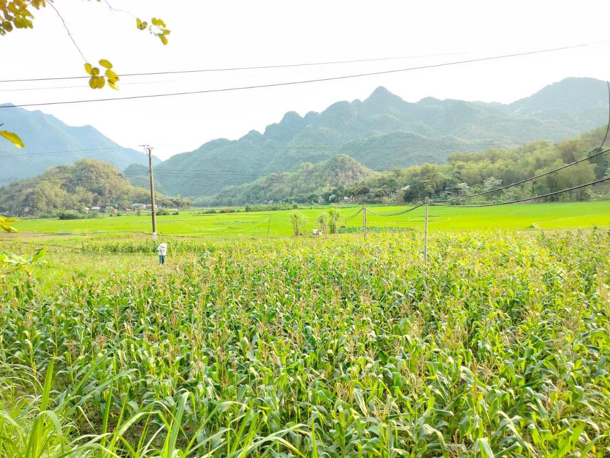 Truong Huy Homestay Mai Chau Exterior photo